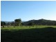 Lot 133 Daintree River, Daintree QLD 4873