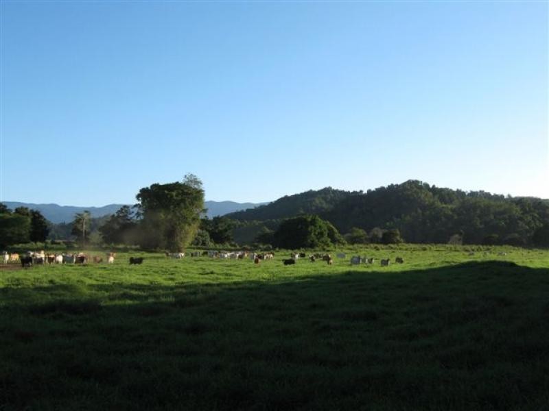 Lot 133 Daintree River, Daintree QLD 4873