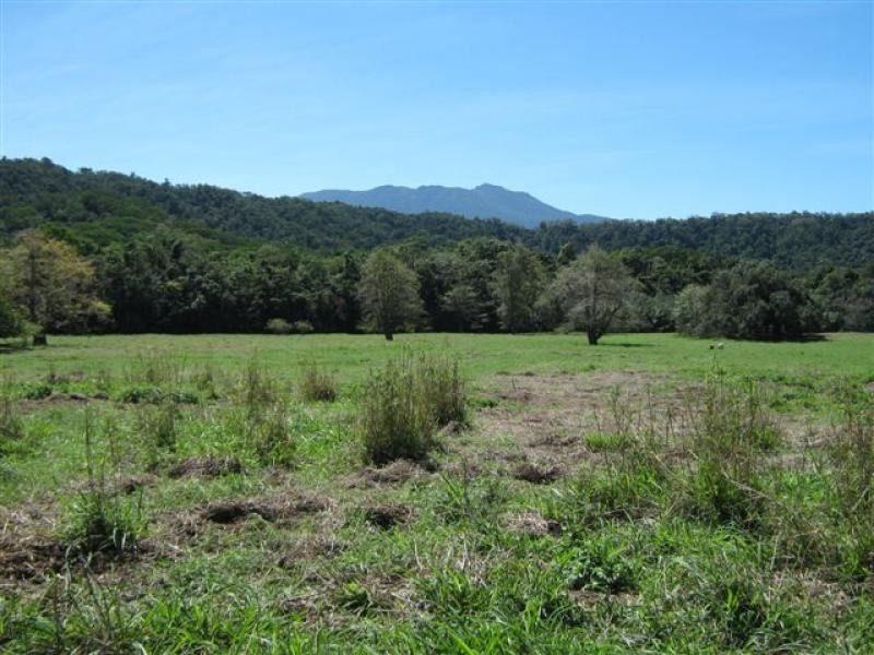 Lot 133 Daintree River, Daintree QLD 4873