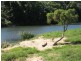 Lot 133 Daintree River, Daintree QLD 4873