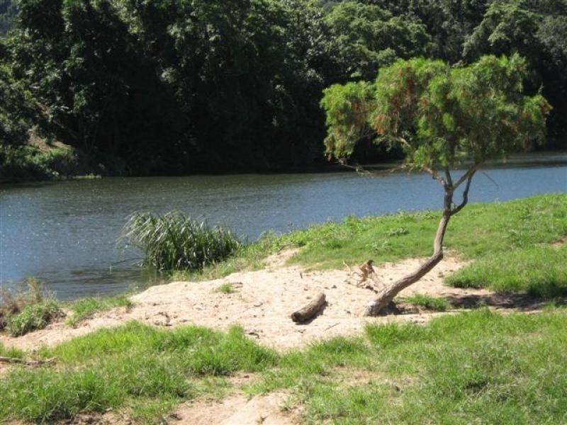 Lot 133 Daintree River, Daintree QLD 4873