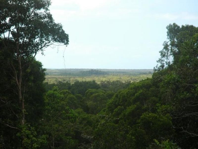 39 Ronald Road, Forest Creek QLD 4873