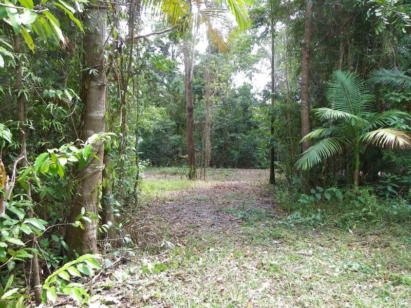 3233 Mossman Daintree Road, Daintree QLD 4873