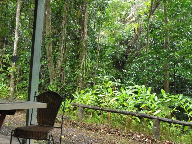 3233 Mossman Daintree Road, Daintree QLD 4873