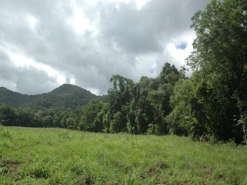 Lot 1 Thornton Peak Drive, Daintree QLD 4873