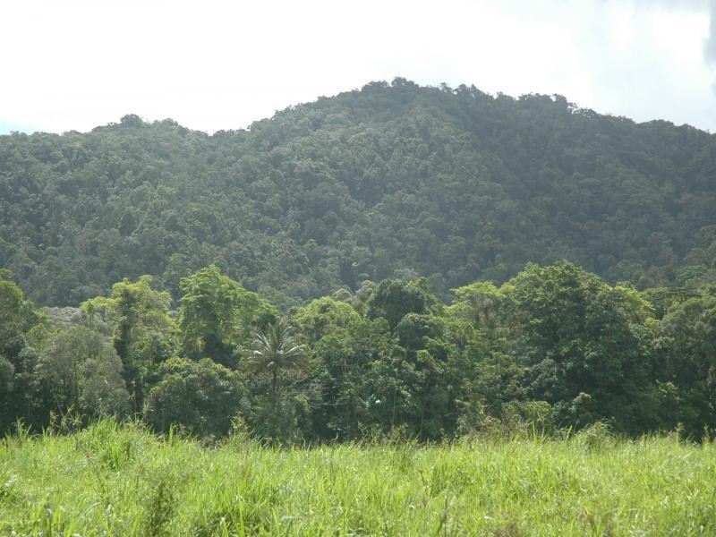 Lot 1 Thornton Peak Drive, Daintree QLD 4873