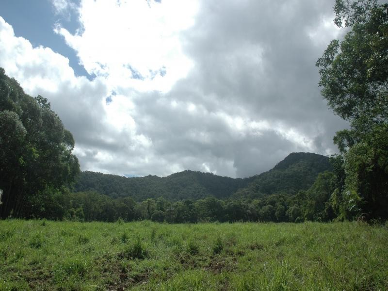 Lot 1 Thornton Peak Drive, Daintree QLD 4873