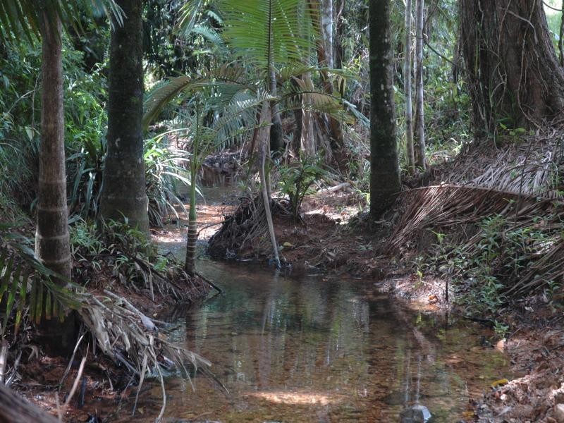 Lot 1 Thornton Peak Drive, Daintree QLD 4873