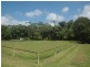 1616 Mossman Mount Molloy Road, Julatten QLD 4871