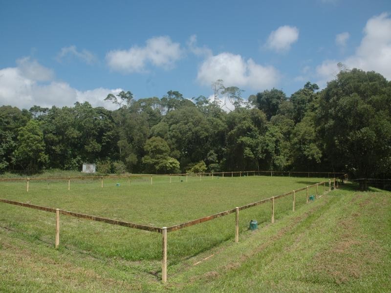 1616 Mossman Mount Molloy Road, Julatten QLD 4871