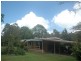 1616 Mossman Mount Molloy Road, Julatten QLD 4871