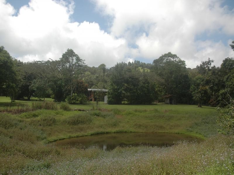 1616 Mossman Mount Molloy Road, Julatten QLD 4871