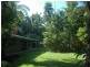343 Figtree Road, Daintree QLD 4873