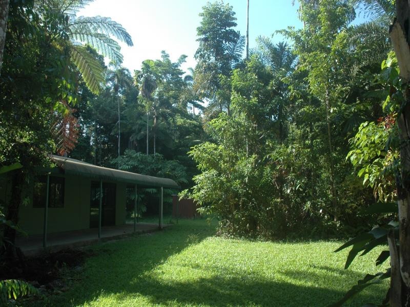 343 Figtree Road, Daintree QLD 4873