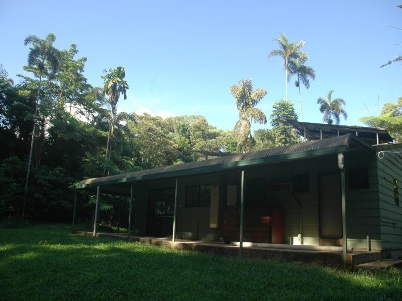 343 Figtree Road, Daintree QLD 4873