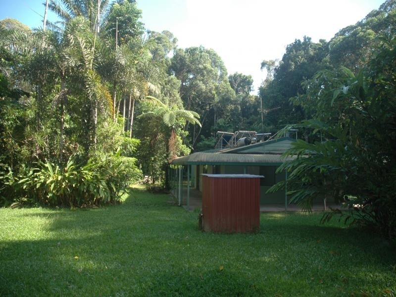 343 Figtree Road, Daintree QLD 4873