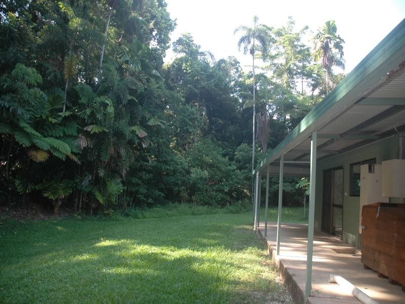 343 Figtree Road, Daintree QLD 4873