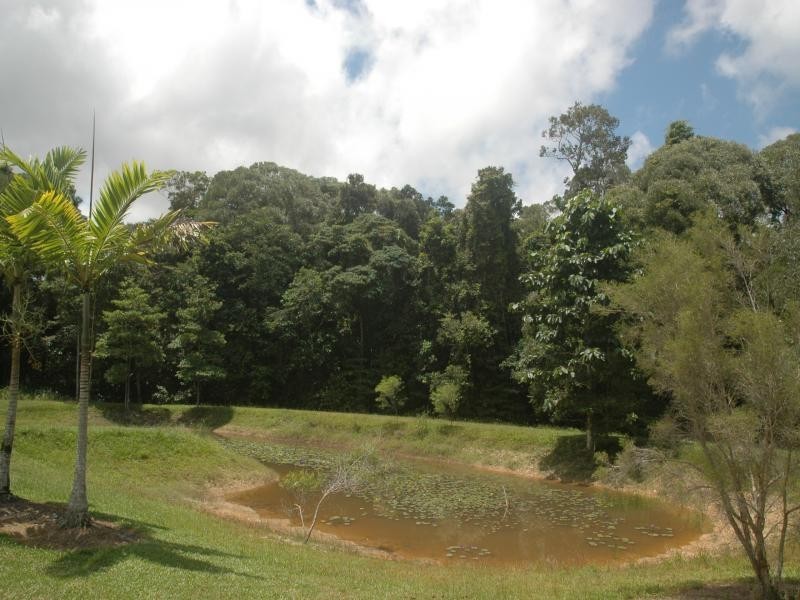 57 Highlands Drive, Julatten QLD 4871