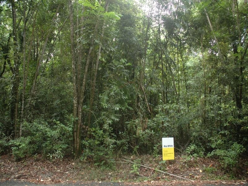 0 Buchanan Creek Road, Daintree QLD 4873