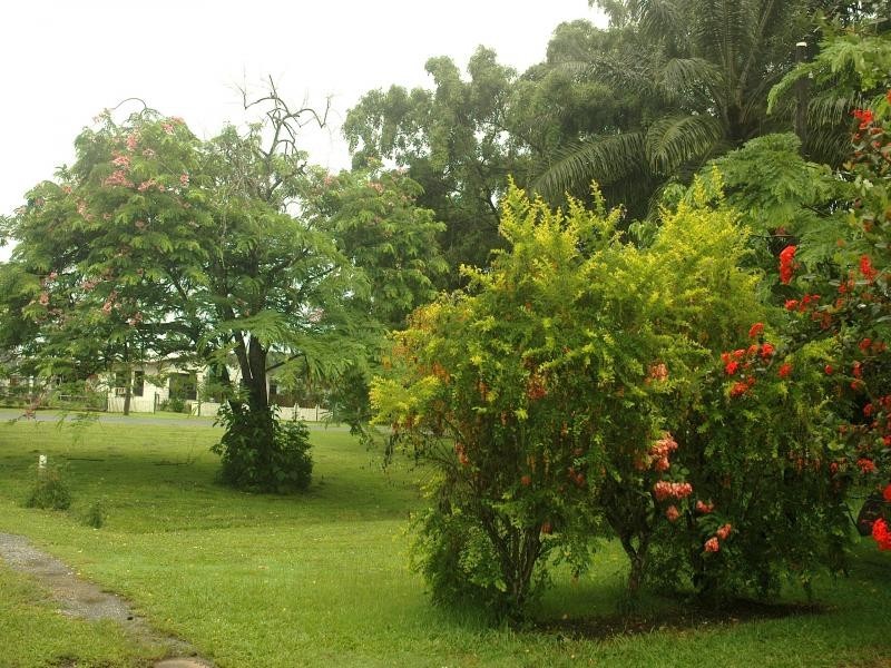 17 maxwell street, Mossman QLD 4873