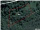 38 Cape Tribulation Road, Daintree QLD 4873