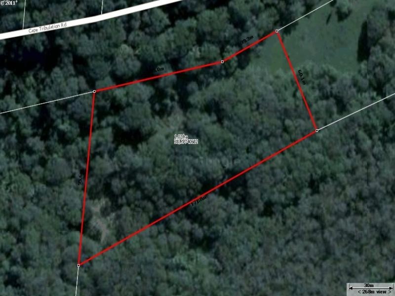 38 Cape Tribulation Road, Daintree QLD 4873