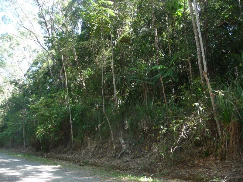 15 Forest Creek Road, Daintree QLD 4873