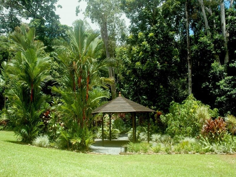 510 Silver Ash Road, Daintree QLD 4873