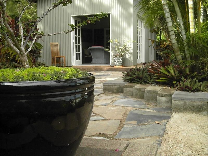 236 White Beech Road, Daintree QLD 4873