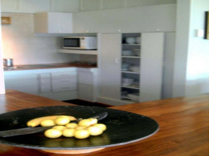 236 White Beech Road, Daintree QLD 4873