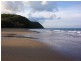 236 White Beech Road, Daintree QLD 4873