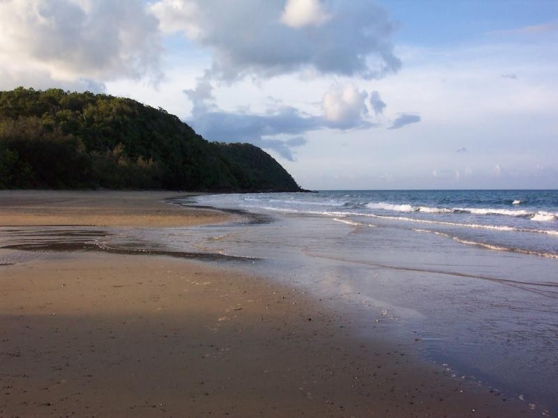 236 White Beech Road, Daintree QLD 4873