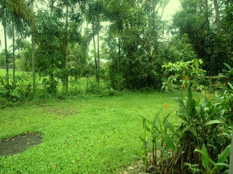 3 Noli Close, Mossman QLD 4873