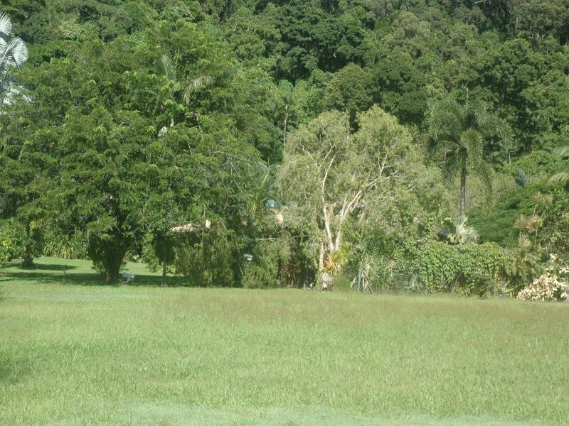 4 Oleander Drive, Wonga QLD 4873