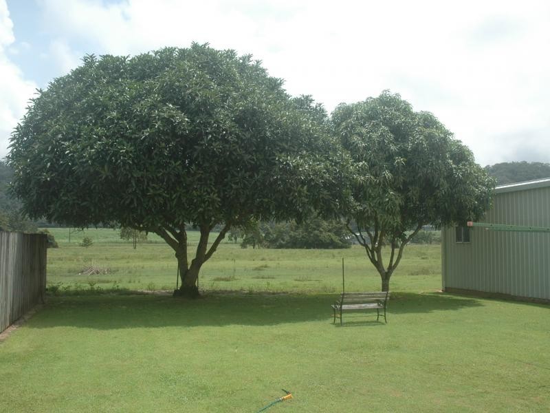 12 Snapper Island Drive, Wonga QLD 4873