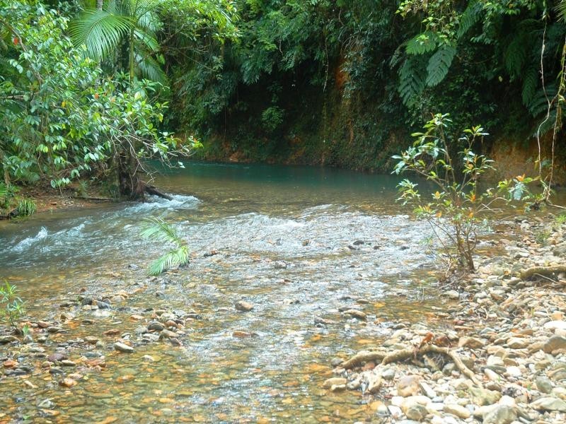 37 Mahogany Road, Daintree QLD 4873