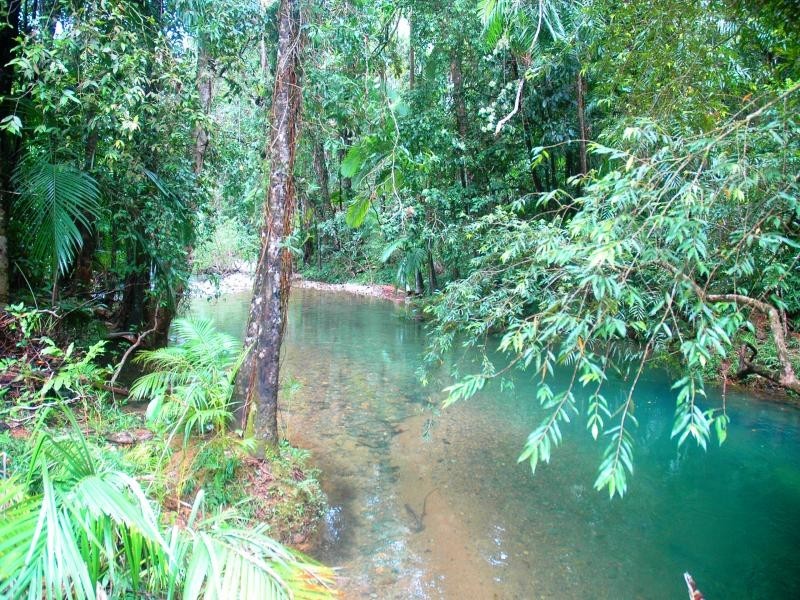 37 Mahogany Road, Daintree QLD 4873