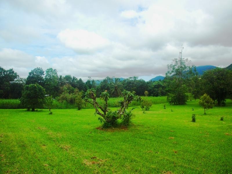 37 Mahogany Road, Daintree QLD 4873