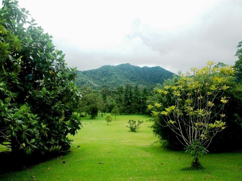 37 Mahogany Road, Daintree QLD 4873