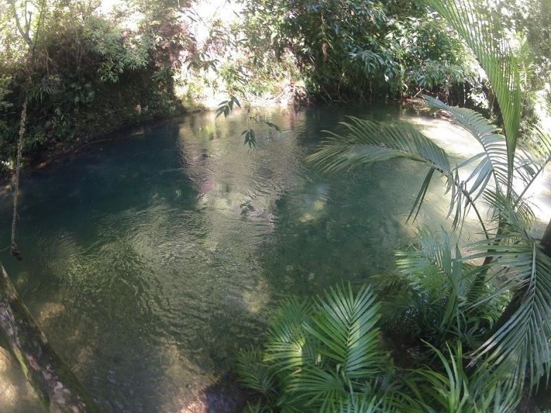 37 Mahogany Road, Daintree QLD 4873