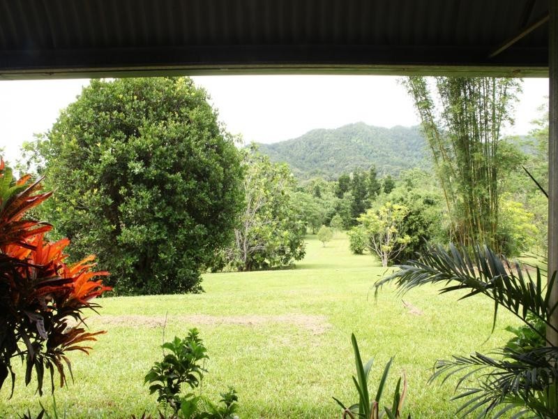 37 Mahogany Road, Daintree QLD 4873