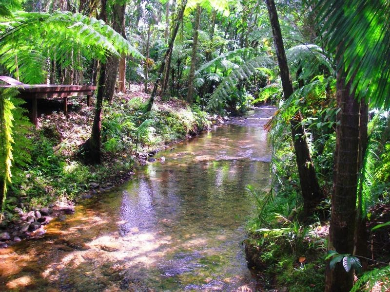 1529 Cape Tribulation Road, Daintree QLD 4873
