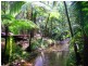1529 Cape Tribulation Road, Daintree QLD 4873