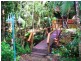 1529 Cape Tribulation Road, Daintree QLD 4873