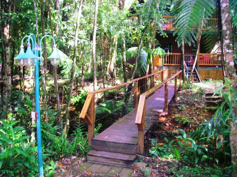 1529 Cape Tribulation Road, Daintree QLD 4873