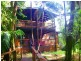 1529 Cape Tribulation Road, Daintree QLD 4873