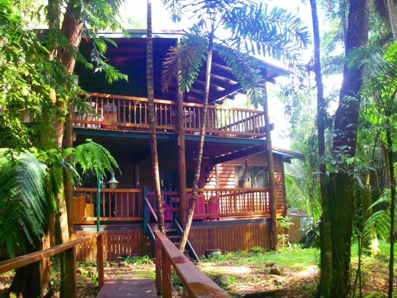 1529 Cape Tribulation Road, Daintree QLD 4873