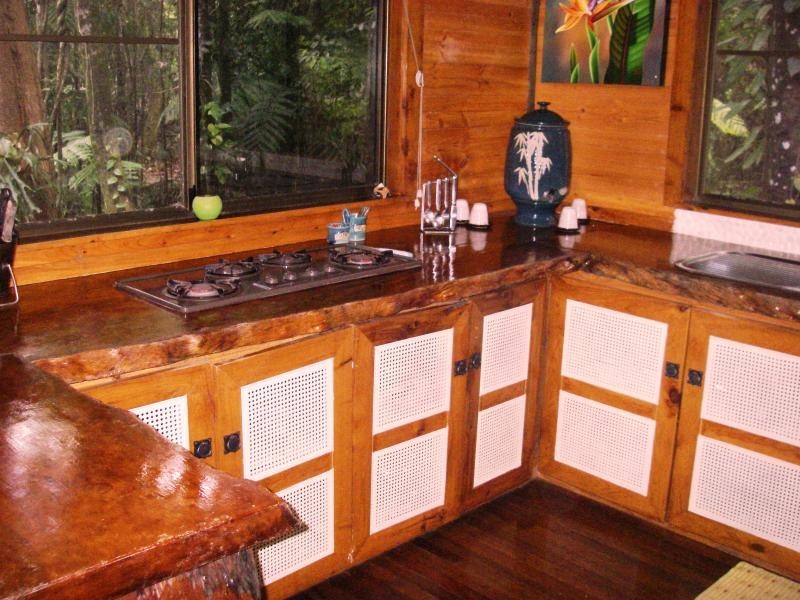 1529 Cape Tribulation Road, Daintree QLD 4873