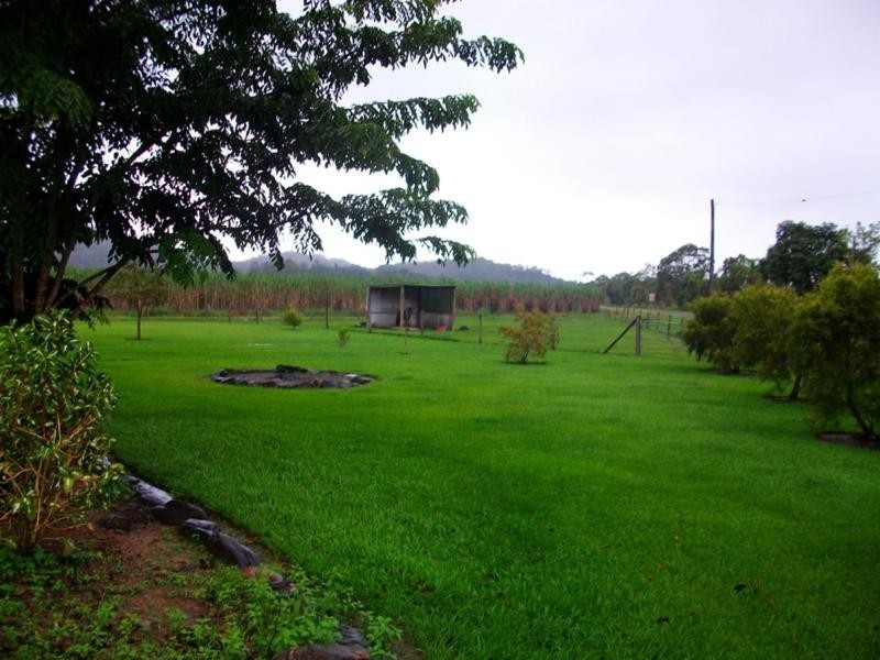 226 Bamboo Creek Rd, Miallo QLD 4873