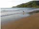 205 Cedar Road, Daintree QLD 4873